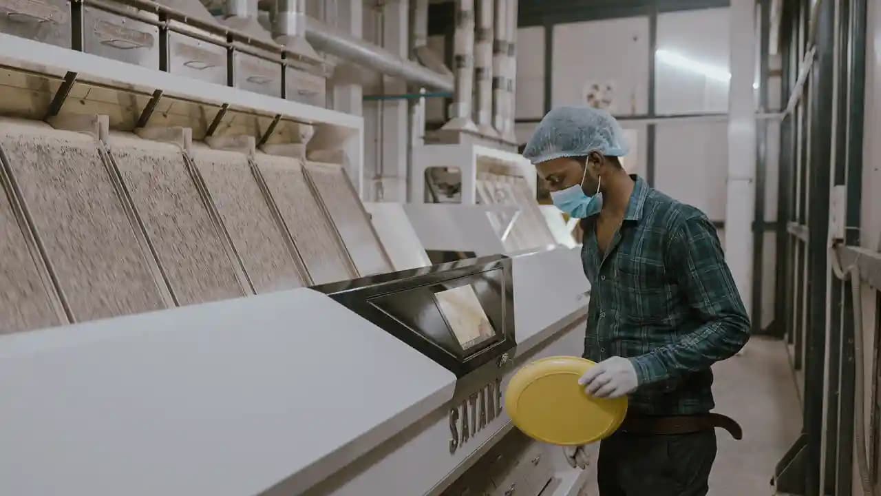 Rice processing plant